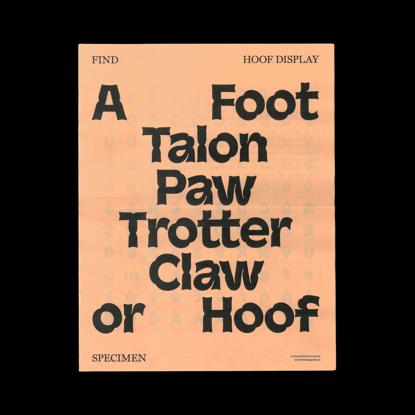 Find Hoof Display Specimen Newspaper