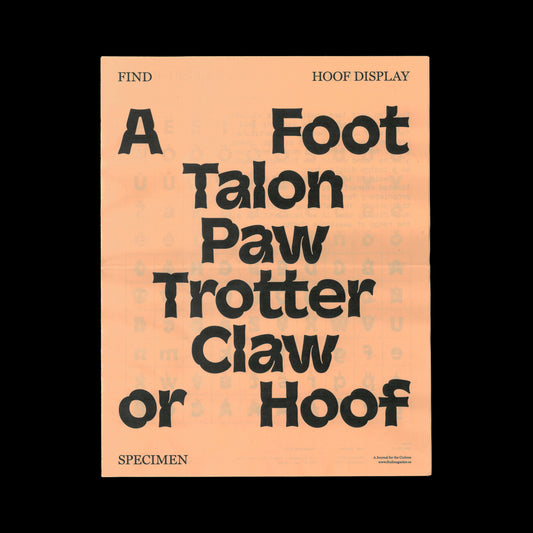 Find Hoof Display Specimen Newspaper